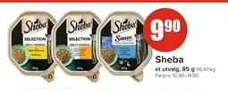 Spar Sheba tilbud