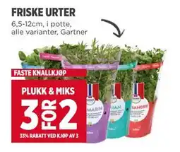 Meny FRISKE URTER tilbud