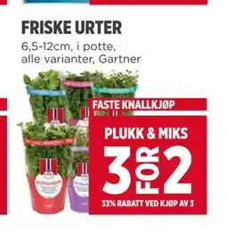Meny FRISKE URTER tilbud