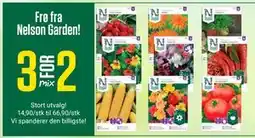 Europris Frø fra Nelson Garden! tilbud