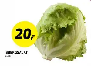 Bunnpris ISBERGSALAT tilbud