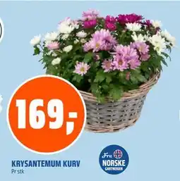 Coop Obs KRYSANTEMUM KURV tilbud