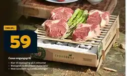 Megaflis Casus engangsgrill tilbud