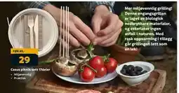 Megaflis Casus piknik sett 17deler tilbud
