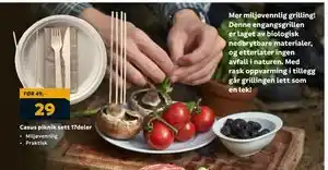 Megaflis Casus piknik sett 17deler tilbud
