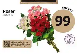 Joker Roser tilbud