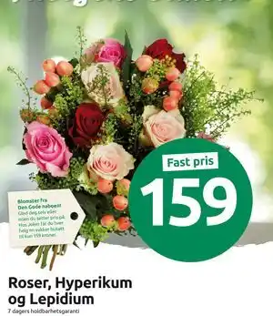 Joker Roser, Hyperikum og Lepidium tilbud