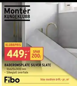 Montér BADEROMSPLATE SILVER SLATE tilbud