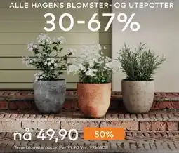 Skeidar Terre blomsterpotte tilbud