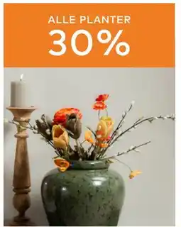 Skeidar ALLE PLANTER tilbud