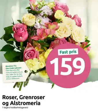 Joker Roser, Grenroser og Alstromeria tilbud