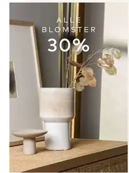 Skeidar ALLE BLOMSTER tilbud