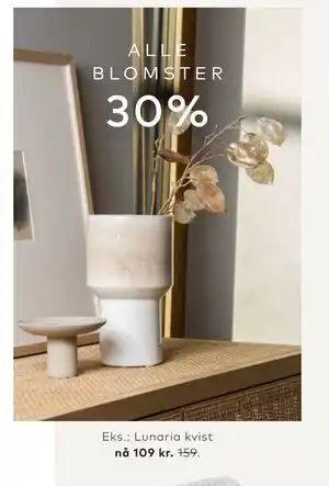 Skeidar Lunaria kvist tilbud