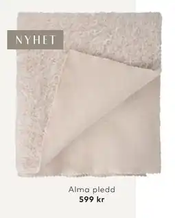 Skeidar Alma pledd tilbud