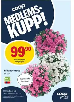Matkroken Frilandskryss tilbud