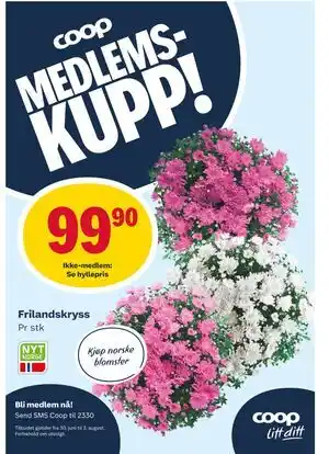 Matkroken Frilandskryss tilbud