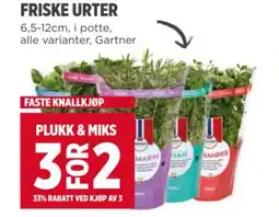 Meny FRISKE URTER tilbud