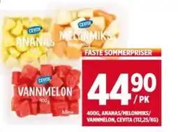 Meny ANANAS MELONMIK VANNMELON tilbud
