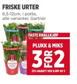 Meny FRISKE URTER tilbud