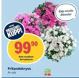 Coop Obs Frilandskryss tilbud