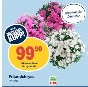Coop Obs Frilandskryss tilbud