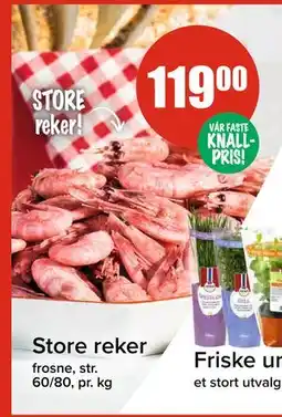Spar Store reker tilbud