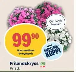 Coop Mega Frilandskryss tilbud