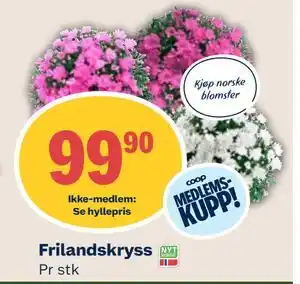 Coop Mega Frilandskryss tilbud