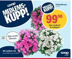Coop Extra Frilandskryss tilbud