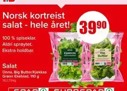 Spar Salat tilbud