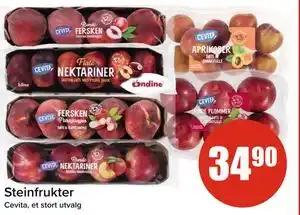 Spar Steinfrukter tilbud