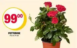 Coop Extra POTTEROSE tilbud