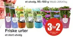 Spar Friske urter tilbud