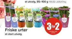 Spar Friske urter tilbud