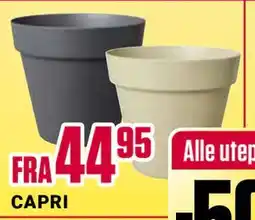 Europris CAPRI tilbud