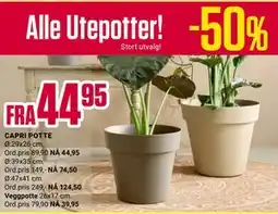 Europris Alle Utepotter!CAPRI POTTE tilbud