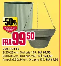 Europris DOT POTTE tilbud