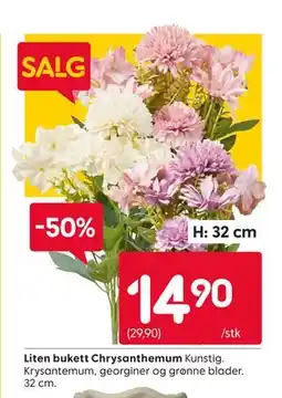 Rusta Liten bukett Chrysanthemum tilbud