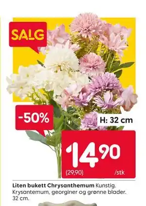 Rusta Liten bukett Chrysanthemum tilbud