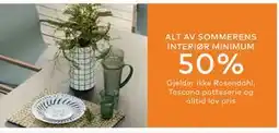 Skeidar ALT AV SOMMERENS INTERIØR MINIMUM tilbud