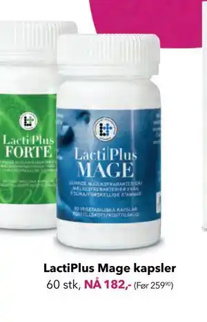 Apotek 1 LactiPlus Mage kapsler, NOK 182 tilbud