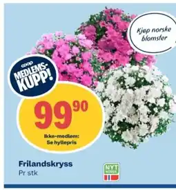 Coop Obs Frilandskryss Pr stk tilbud