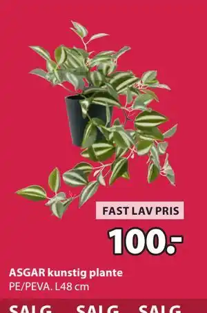 JYSK ASGAR kunstig plante, NOK 100 tilbud