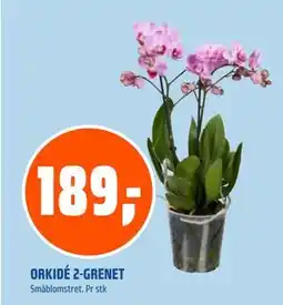 Coop Obs ORKIDÉ 2-GRENET, NOK 189 tilbud
