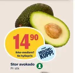 Coop Mega Stor avokado, Medlemspris tilbud