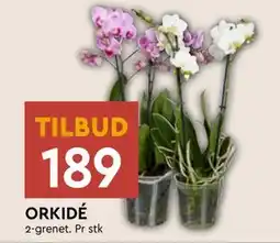 Coop Mega ORKIDÉ, NOK 189 tilbud