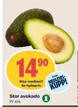 Coop Mega Stor avokado, Medlemspris tilbud