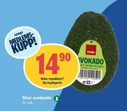 Coop Obs Stor avokado, Medlemspris tilbud