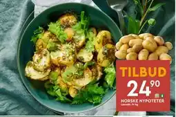 Coop Mega NORSKE NYPOTETER, NOK 24.9 tilbud