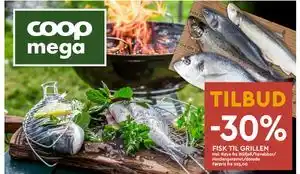 Coop Mega FISK TIL GRILLEN tilbud